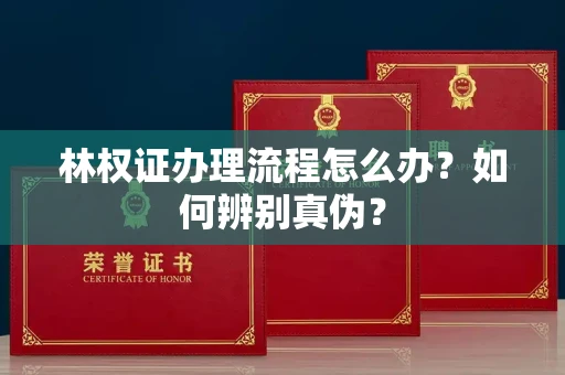 合肥林权证办理流程怎么办?如何辨别真伪?