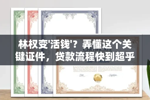 合肥林权变'活钱'？弄懂这个关键证件，贷款流程快到超乎想象！