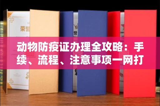 合肥动物防疫证办理全攻略:手续、流程、注意事项一网打尽